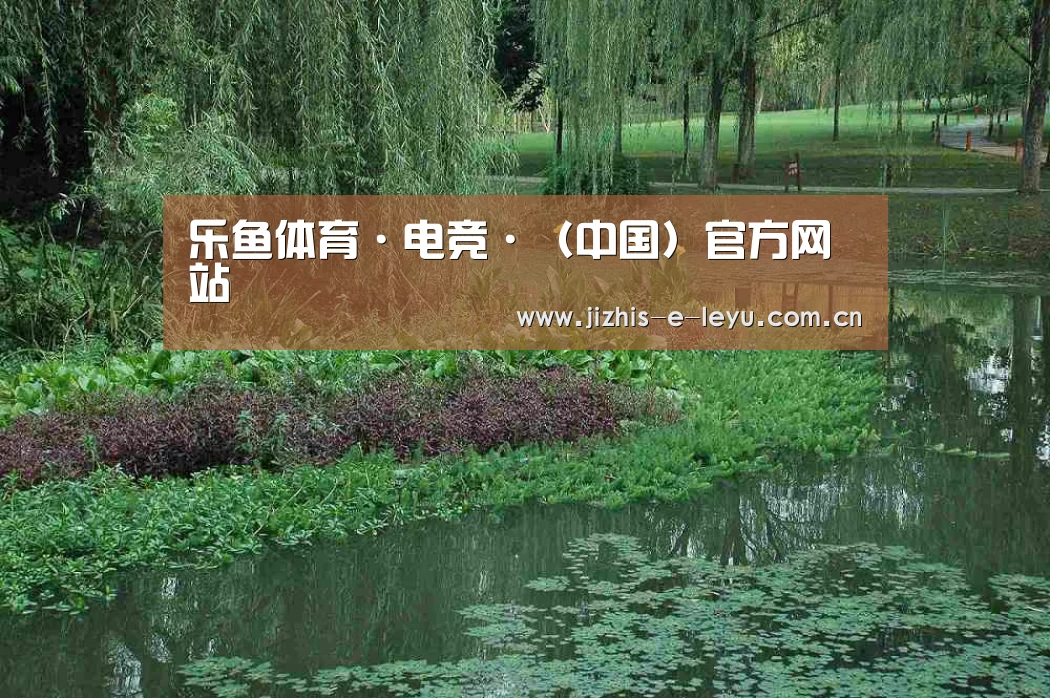 案例展示一(图1)