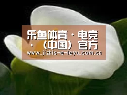 产品名称七
