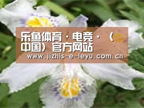 产品名称二