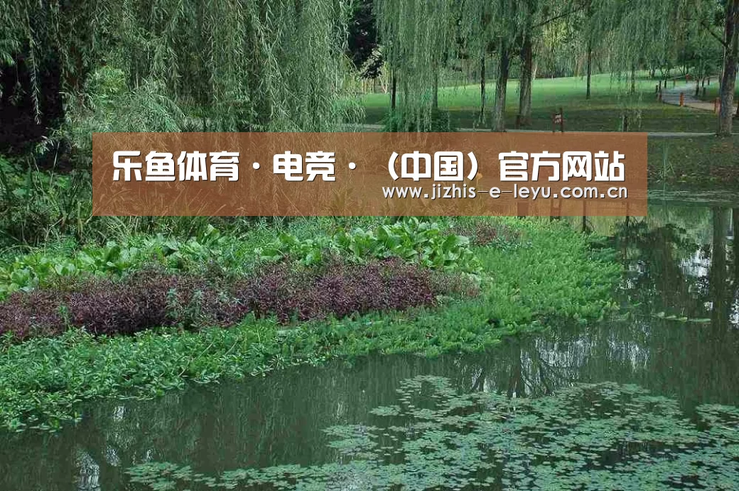 案例展示一
