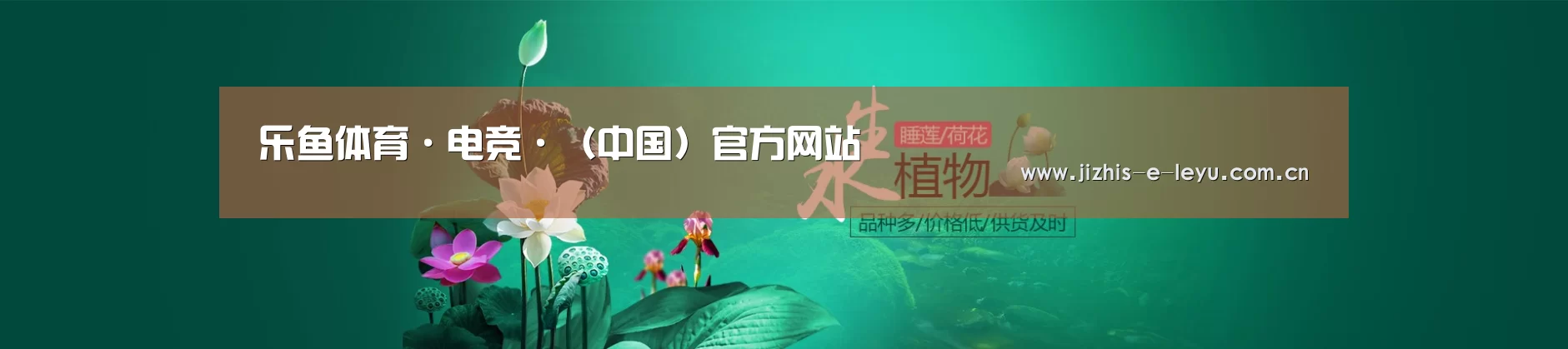 鲜花水草花卉网站模板