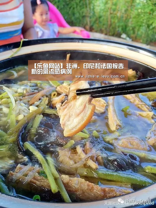 乐鱼中国体育