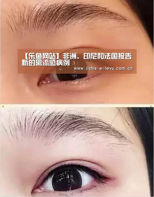 乐鱼网站
