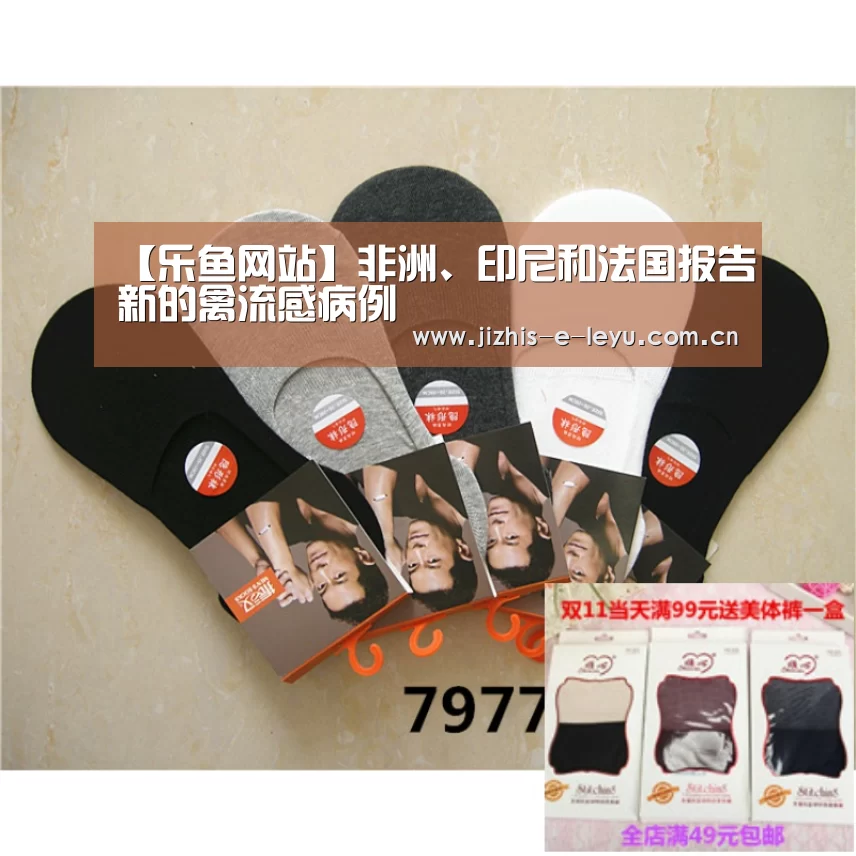 乐鱼体育