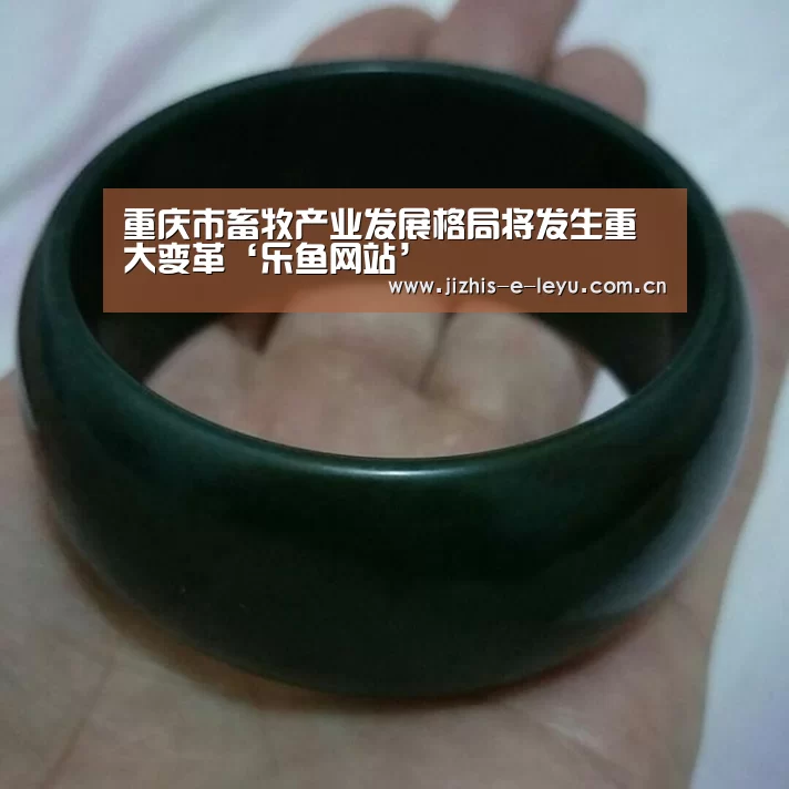 重庆市畜牧产业发展格局将发生重大变革‘乐鱼网站’(图2) 乐鱼LEYU