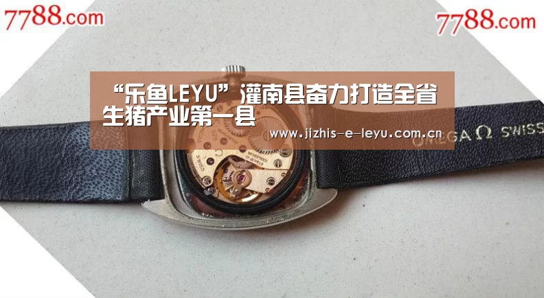 “乐鱼LEYU”灌南县奋力打造全省生猪产业第一县(图2) 乐鱼体育