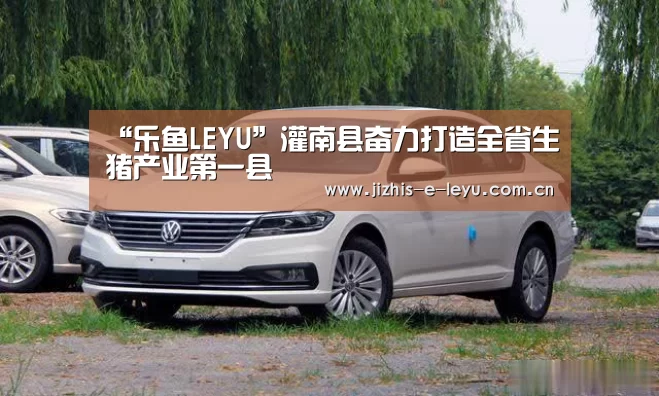 “乐鱼LEYU”灌南县奋力打造全省生猪产业第一县(图3) 乐鱼体育