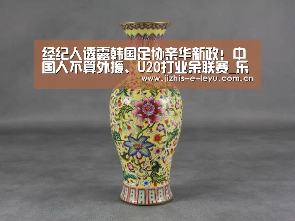 经纪人透露韩国足协亲华新政!中国人不算外援、U20打业余联赛_乐鱼网站(图4) 乐鱼网站