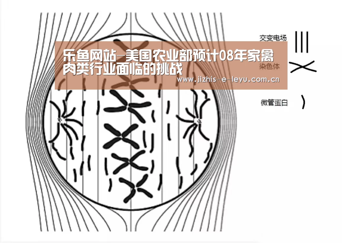 乐鱼网站-美国农业部预计08年家禽肉类行业面临的挑战(图1) 乐鱼中国体育