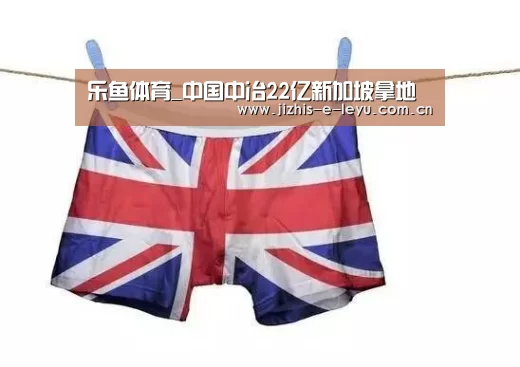 乐鱼体育_中国中冶22亿新加坡拿地(图1) 乐鱼LEYU