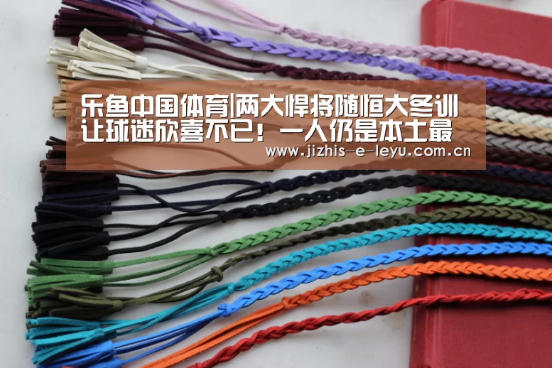 乐鱼体育